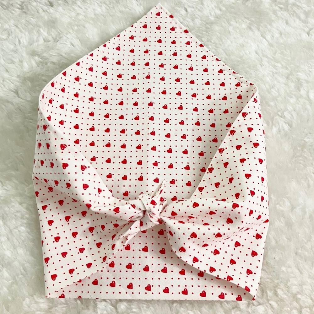 Reggie in Bowties | Red Hearts Small Pet Bandana